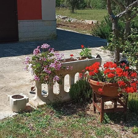 Casa Alle Vigne Полиняно а Маре Екстериор снимка