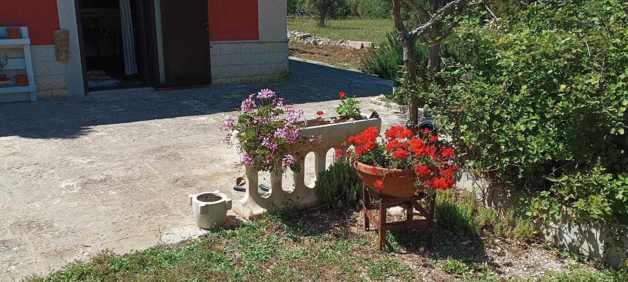 Casa Alle Vigne Полиняно а Маре Екстериор снимка