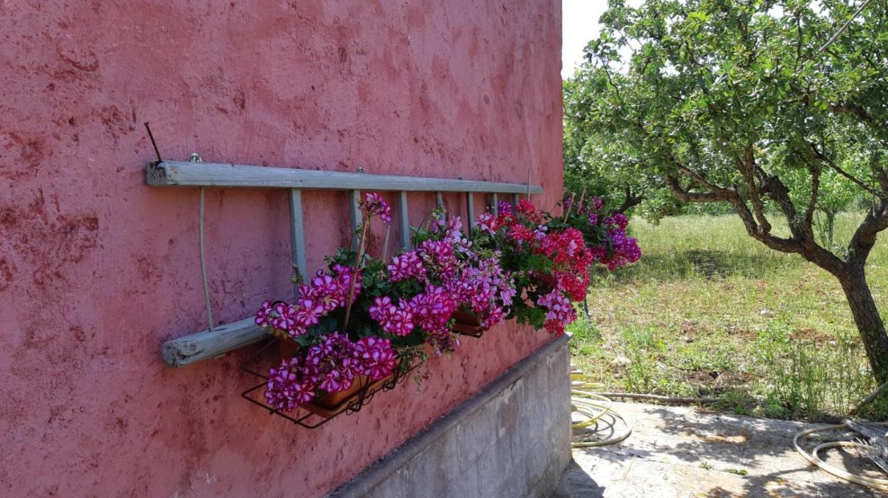 Casa Alle Vigne Полиняно а Маре Екстериор снимка